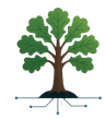 Oak