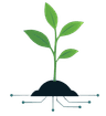Sapling