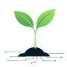 Sprout